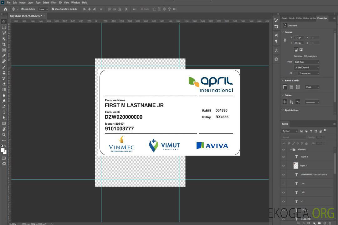 Carte d'assurance maladie du Congo template